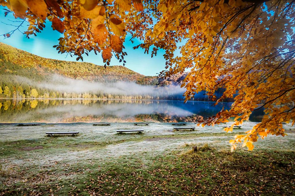 Lac încetoșat de toamnă